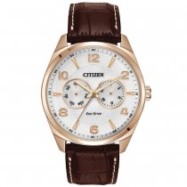 Citizen Eco-Drive tono plateado para hombre USADO