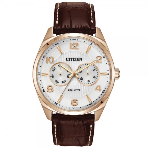 Citizen Eco-Drive tono plateado para hombre USADO